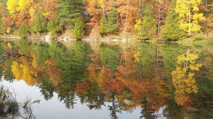 10 activités à faire en famille cet automne en Outaouais