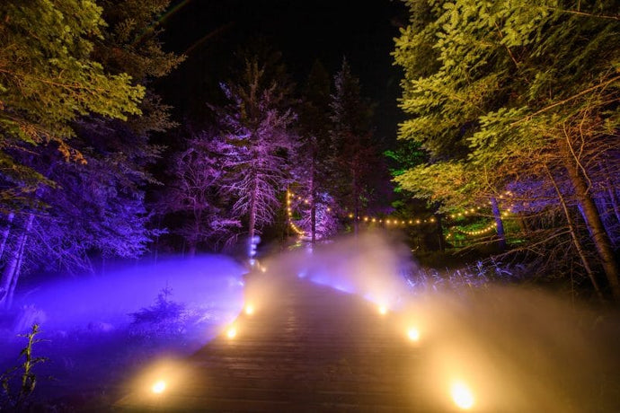 Top 10 des sorties familiales en Outaouais