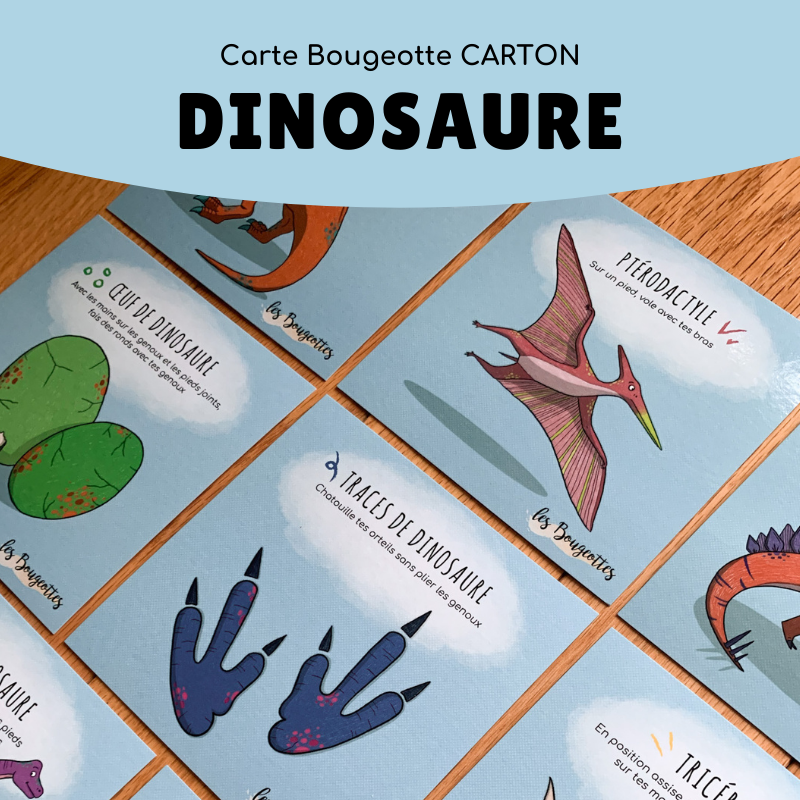 8 cartons Les Bougeottes - Dinosaures